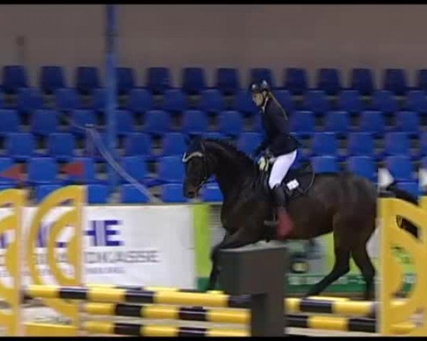 11. Hallen-Championat Vechta 2013