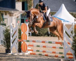 jumper Kan Fly 3 (Hanoverian, 2019, from Chacfly PS)