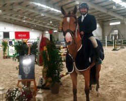 jumper Cascida (Holsteiner, 2017, from Cascadello)