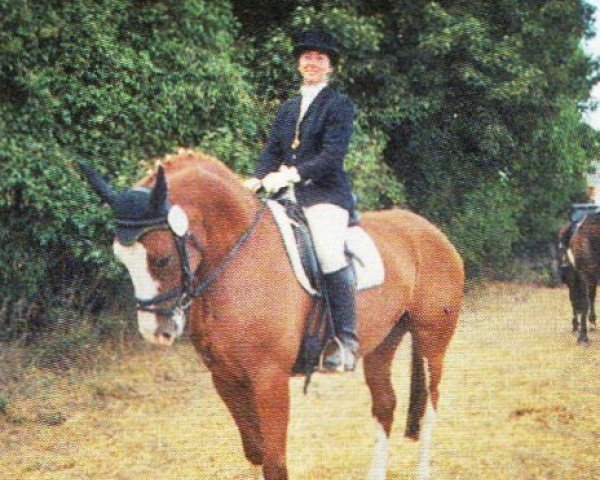 broodmare Petty 12 (Hanoverian, 1999, from Pommery)