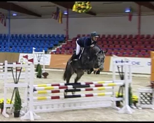 Reitturnier Vechta 2013