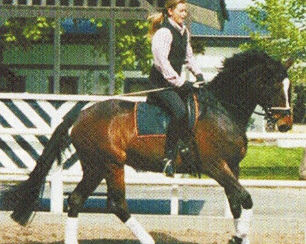 broodmare Atlanta (Oldenburg, 1995, from Feinbrand DVH 555)