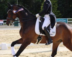dressage horse Rock For Romance (Westphalian, 2013, from Rock Forever NRW)