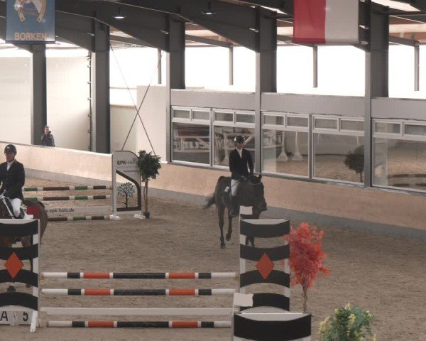 Reitturnier Borken (Hessen) 2025