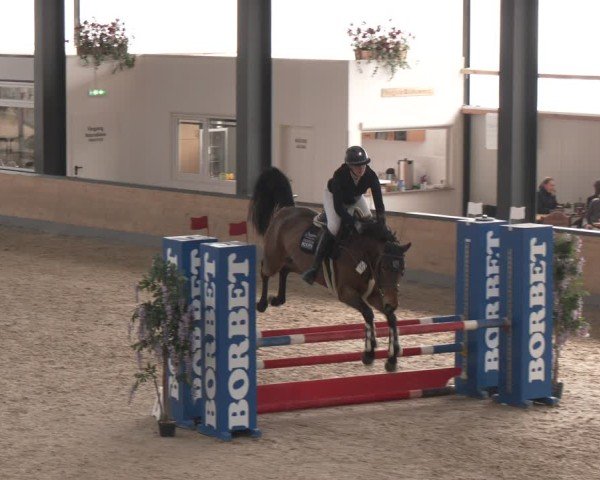 Reitturnier Borken (Hessen) 2025