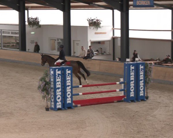 Reitturnier Borken (Hessen) 2025