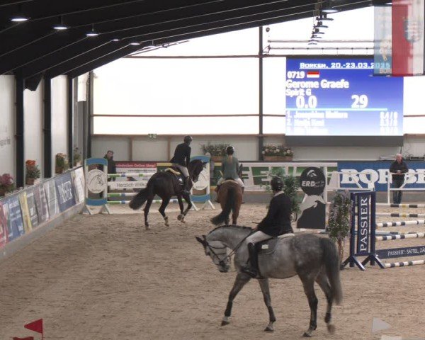 Reitturnier Borken (Hessen) 2025