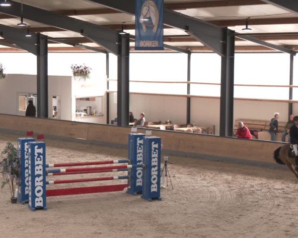 Reitturnier Borken (Hessen) 2025