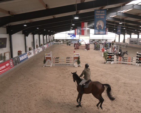 Reitturnier Borken (Hessen) 2025