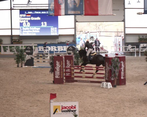 Reitturnier Borken (Hessen) 2025