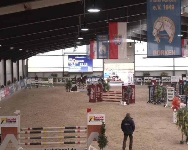 Reitturnier Borken (Hessen) 2025