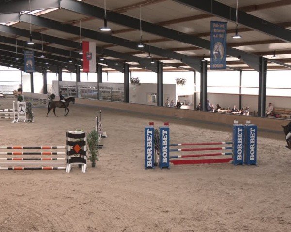 Reitturnier Borken (Hessen) 2025