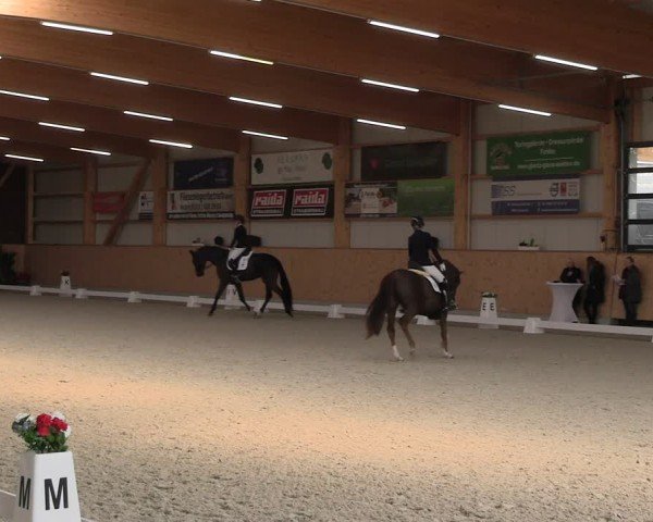 Reitturnier Hohen Wieschendorf 2025