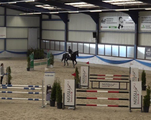 Reitturnier Buchs 2025