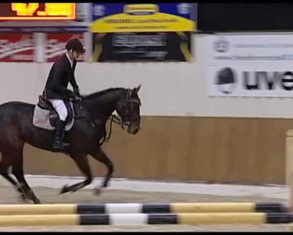Reitturnier Vechta 2013