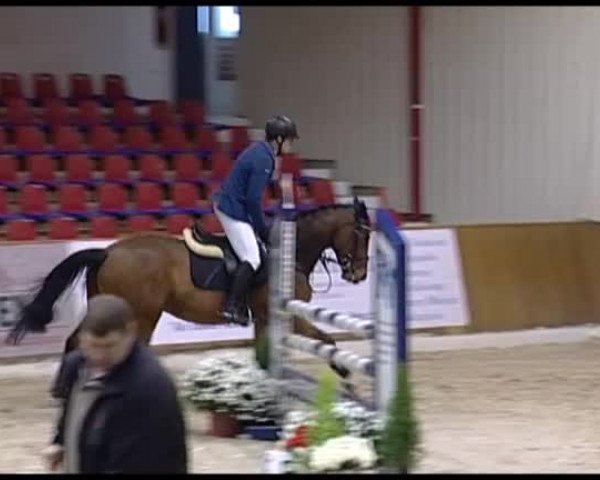 11. Hallen-Championat Vechta 2013