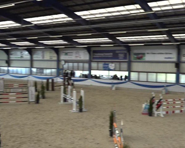 Reitturnier Buchs 2025