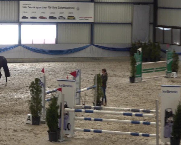 Reitturnier Buchs 2025