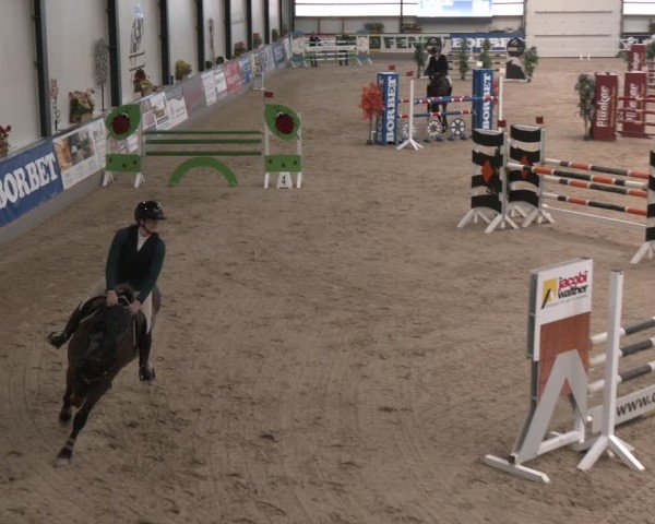 Reitturnier Borken (Hessen) 2025
