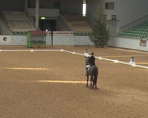 Reitturnier Kreuth 2025