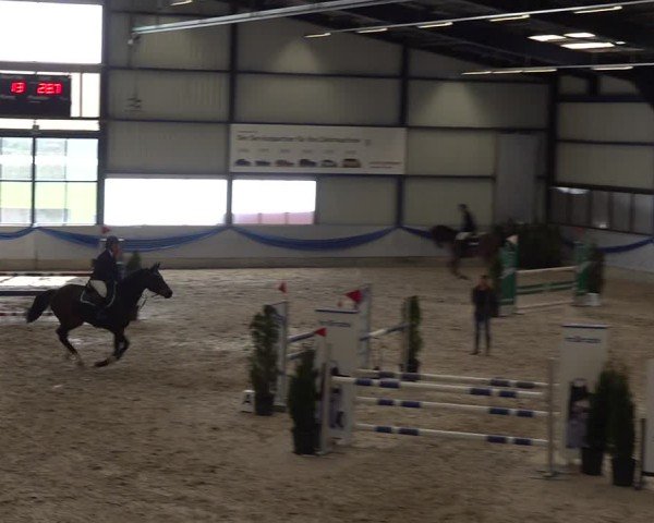 Reitturnier Buchs 2025