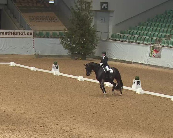 Reitturnier Kreuth 2025