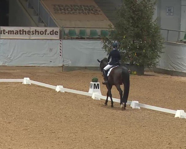 Reitturnier Kreuth 2025