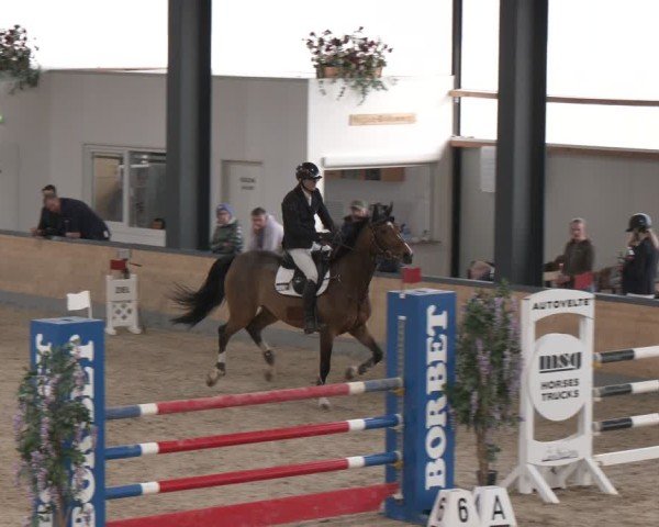 Reitturnier Borken (Hessen) 2025