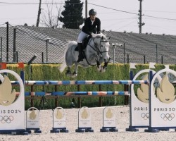 jumper Allegro Ec (KWPN (Royal Dutch Sporthorse), 2014, from Modesto)