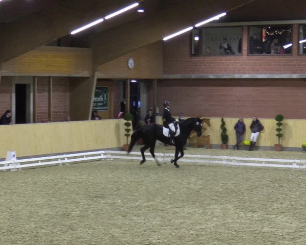 Reitturnier Paderborn 2021