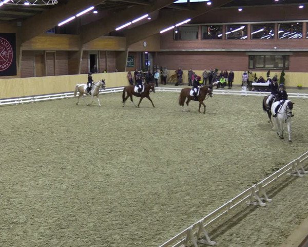 Reitturnier Paderborn 2021