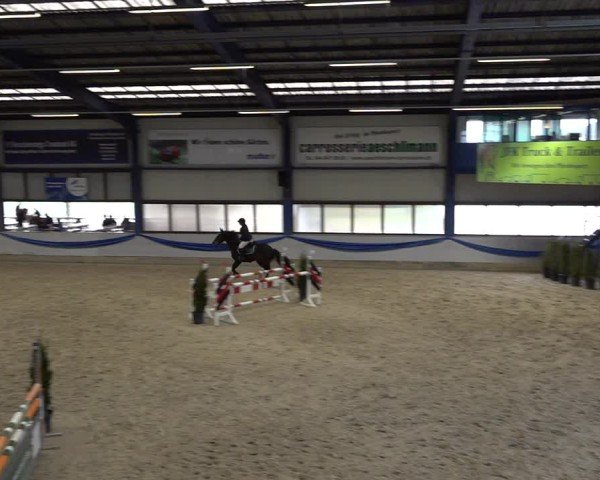Reitturnier Buchs 2025