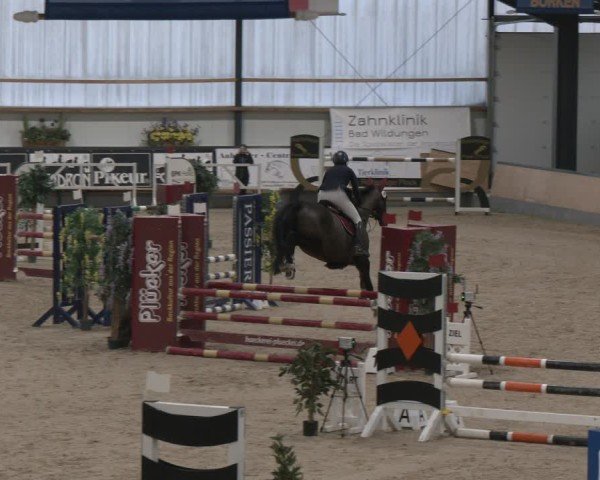 Reitturnier Borken (Hessen) 2025