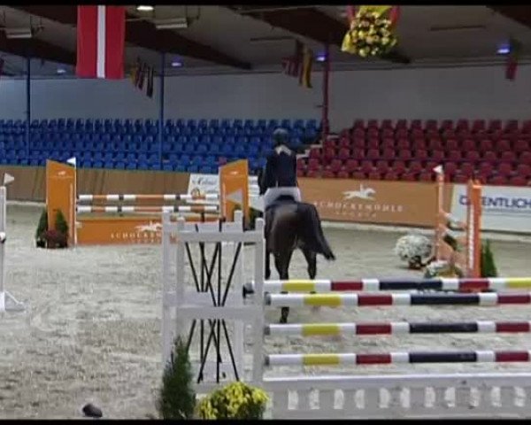 11. Hallen-Championat Vechta 2013