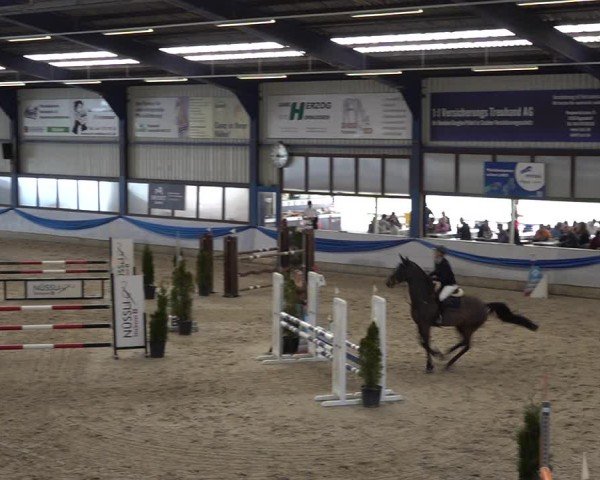Reitturnier Buchs 2025