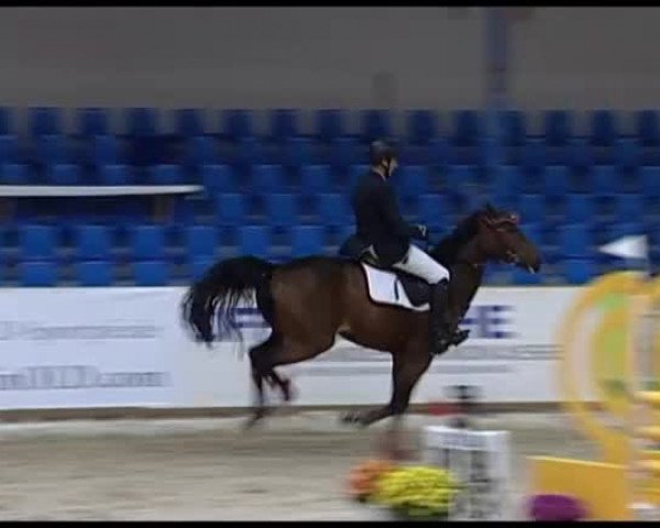 11. Hallen-Championat Vechta 2013