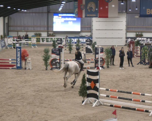 Reitturnier Borken (Hessen) 2025