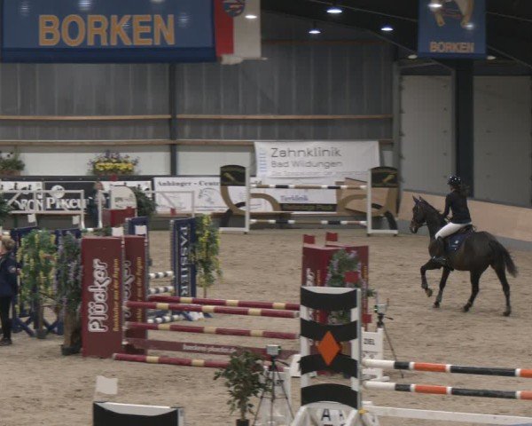 Reitturnier Borken (Hessen) 2025