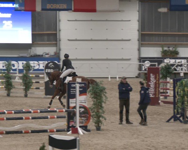 Reitturnier Borken (Hessen) 2025