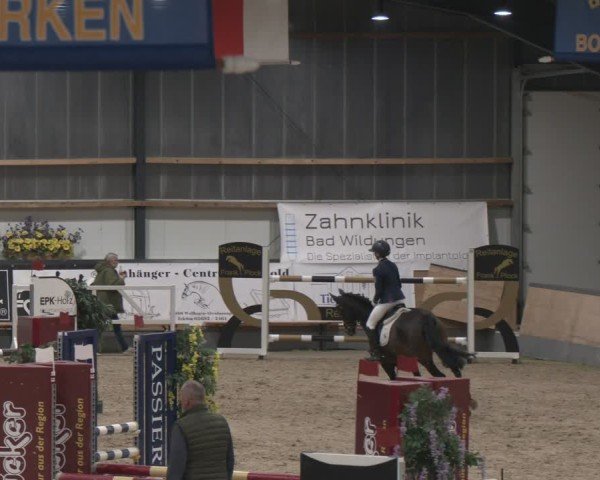Reitturnier Borken (Hessen) 2025