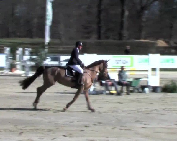 Video von Grazie Mille 111 Z