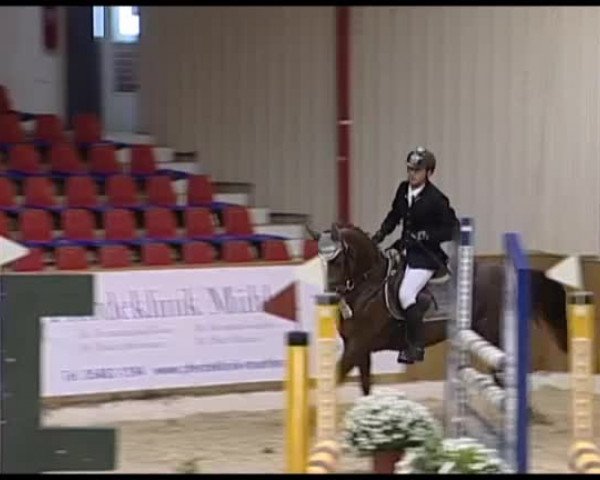 11. Hallen-Championat Vechta 2013