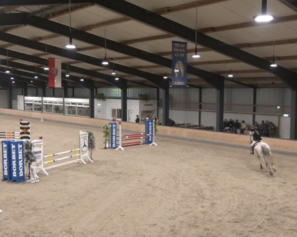 Reitturnier Borken (Hessen) 2025