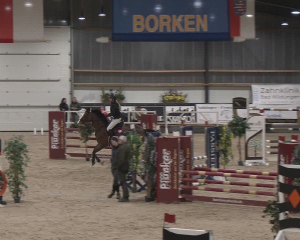 Reitturnier Borken (Hessen) 2025
