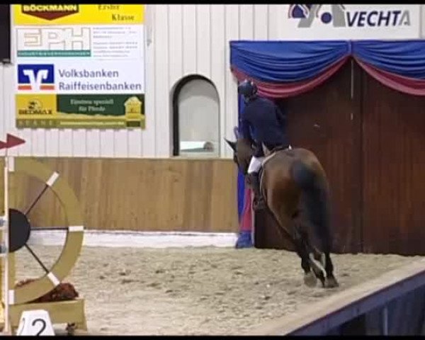 Reitturnier Vechta 2013