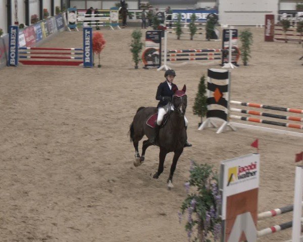Reitturnier Borken (Hessen) 2025
