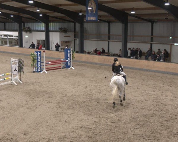 Reitturnier Borken (Hessen) 2025