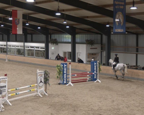Reitturnier Borken (Hessen) 2025