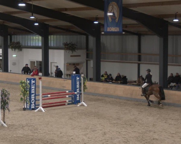 Reitturnier Borken (Hessen) 2025
