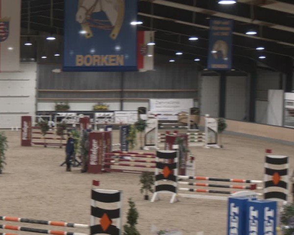 Reitturnier Borken (Hessen) 2025